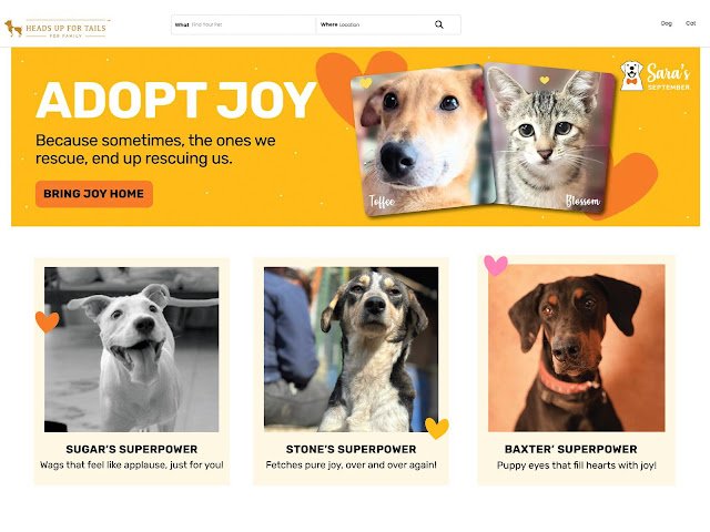 Heads Up For Tails (HUFT) Launches ‘Adopt Joy’ Directory to Help Pets in Need Across India Find Homes