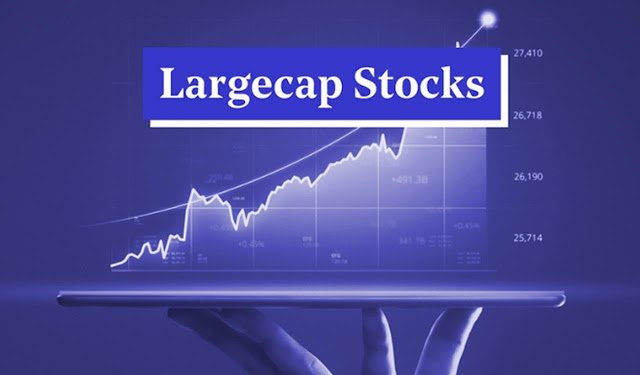 4 large-cap stocks with the potential to grow 14–25% over the next year